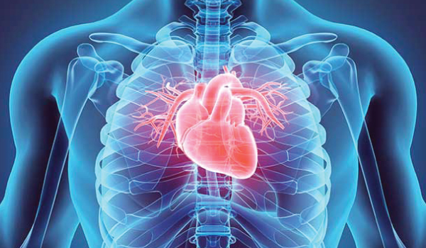 Cardiology Department